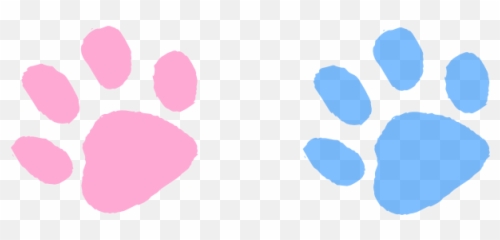 Blue Paw Print Clipart - Cute Transparent png