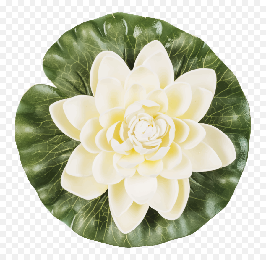 Yoga Lotus Flower Wall Decal - Fiori Di Loto In Un Cerchio Png,Lotus Flower Transparent