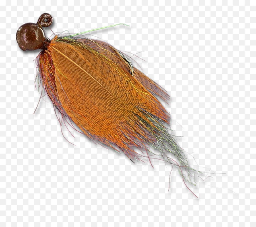 Float - Nflies Parasitism Png,Flies Png