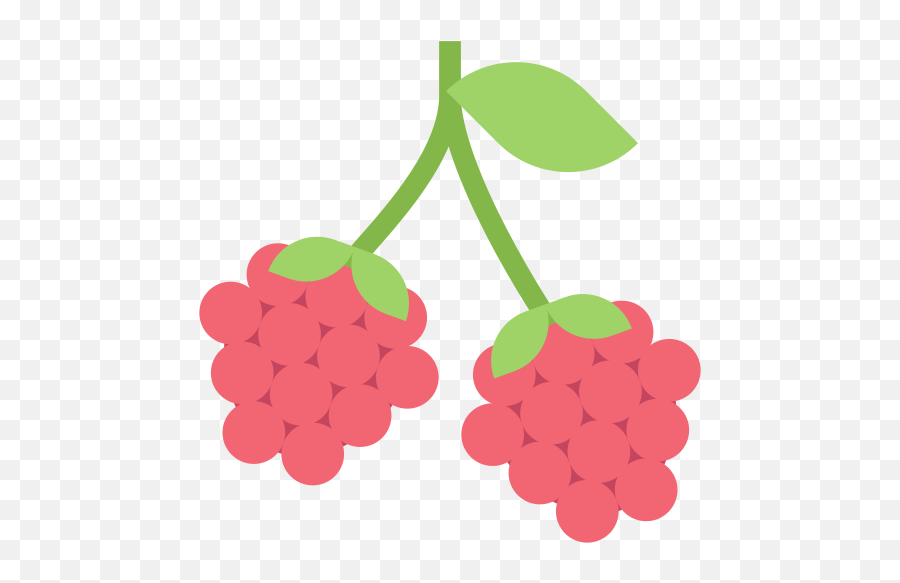 Raspberry Berry Berries Leaves Fruit Food Organic - Fresh Png,Berry Png