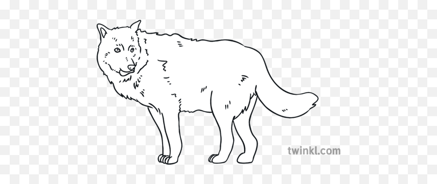Ks1 Wolf With Mutton Food Grey Open Eyes Black And White Rgb - Dot Png,Wolf Eyes Png