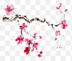 Download Japanese Flower - Colours Of 30 Years Research On The Mental Health Singapore Elderly png