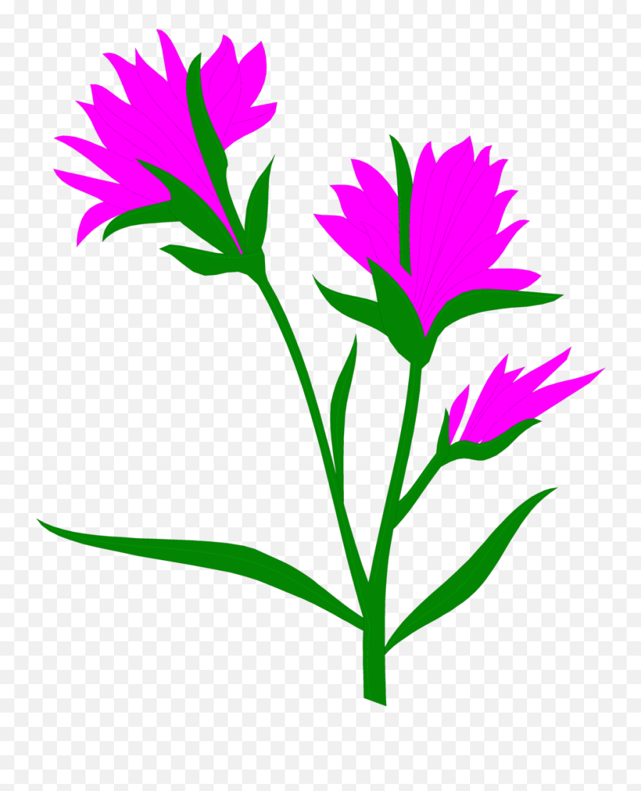 Download Hd Indian - Indian Flower Art Transparent Paintbrush Transparent Clipart Background Png,Indian Arrow Png
