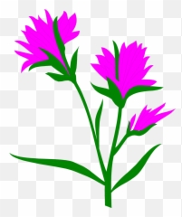 Download Hd Indian - Flower Art Transparent Paintbrush Clipart Background png