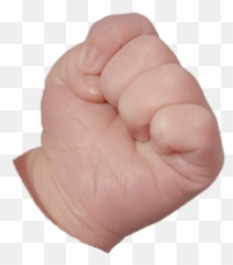 Clenched Baby Fist Transparent Png - StickPNG Transparent Hands Png