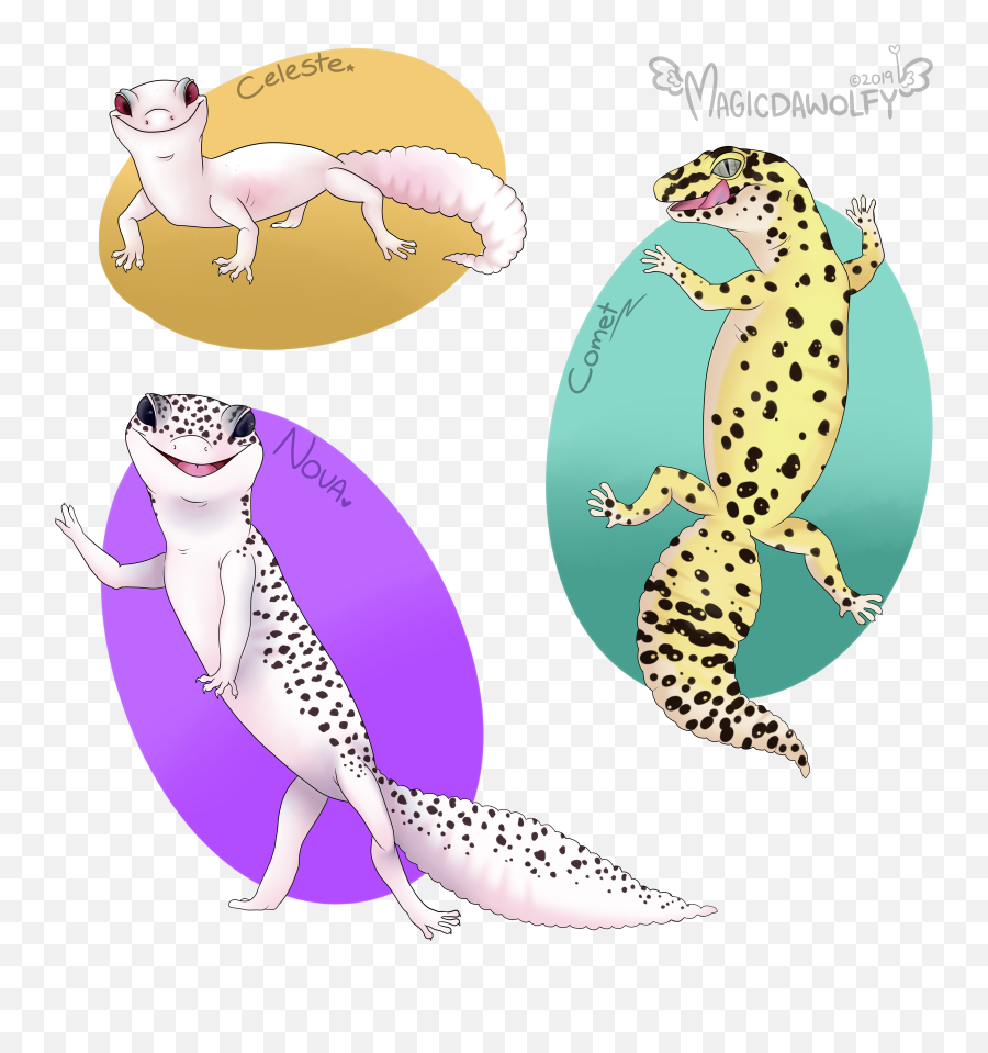 Leopard Gecko Pet Portrait - Animal Figure Png,Leopard Gecko Png
