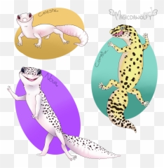 Leopard Gecko Pet Portrait - Animal Figure Png,Leopard Gecko Png