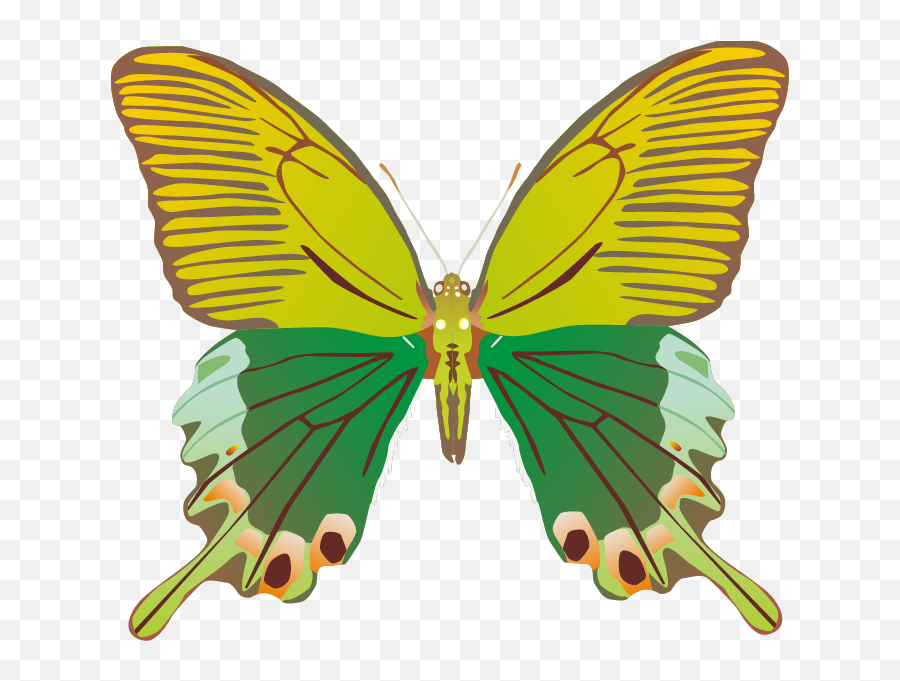 Butterfly Png Images - Butterfly Clipart Full Size Portable Network Graphics,Png Butterfly