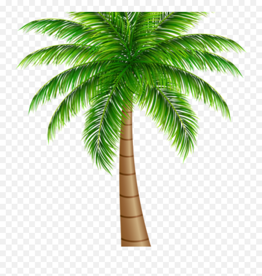Palm Tree Large Png Clip Art Image - Palm Tree Png Art,Palm Tree Clip Art Png