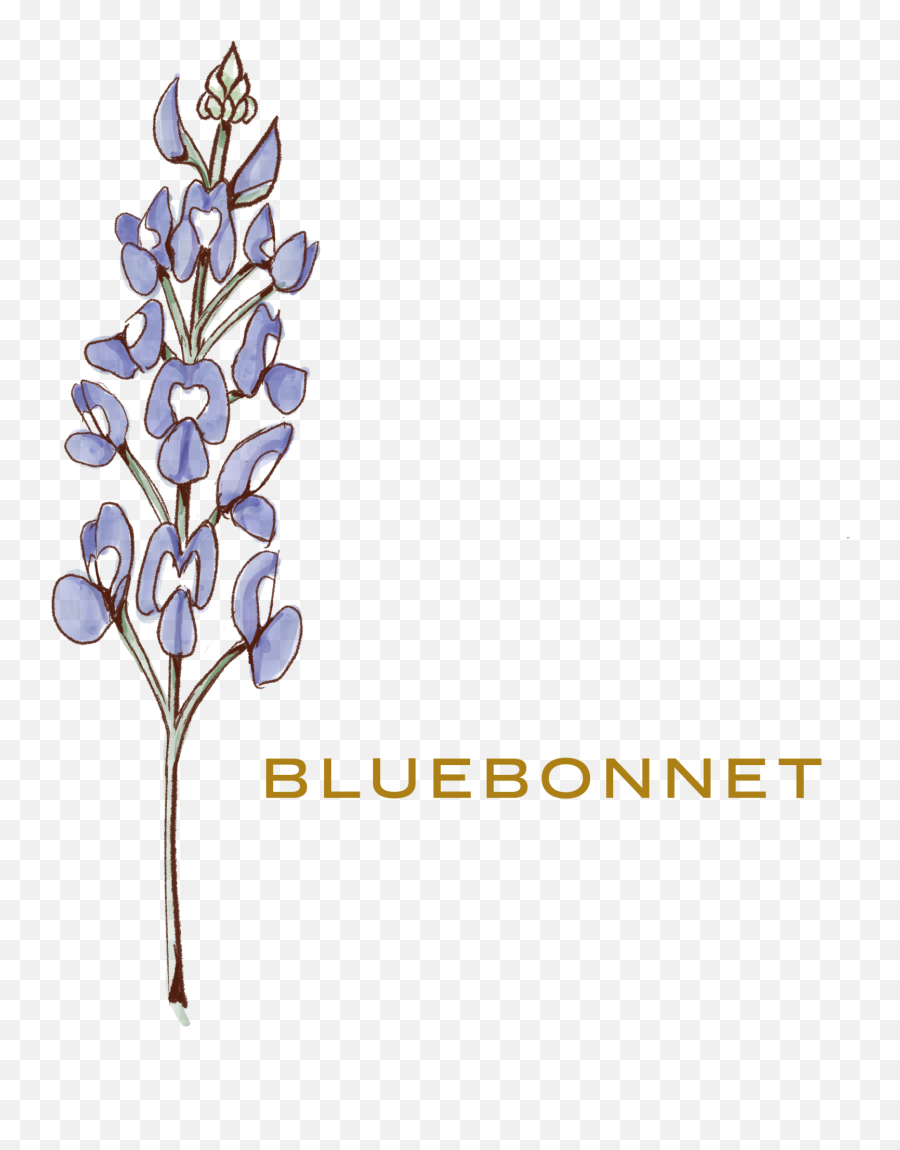 Wildflowers - Language Png,Blue Bonnet Icon