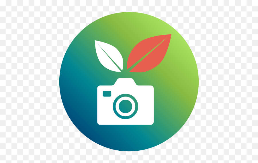 Biedjacam U2013 Apps - Digital Camera Png,Green Camera Icon