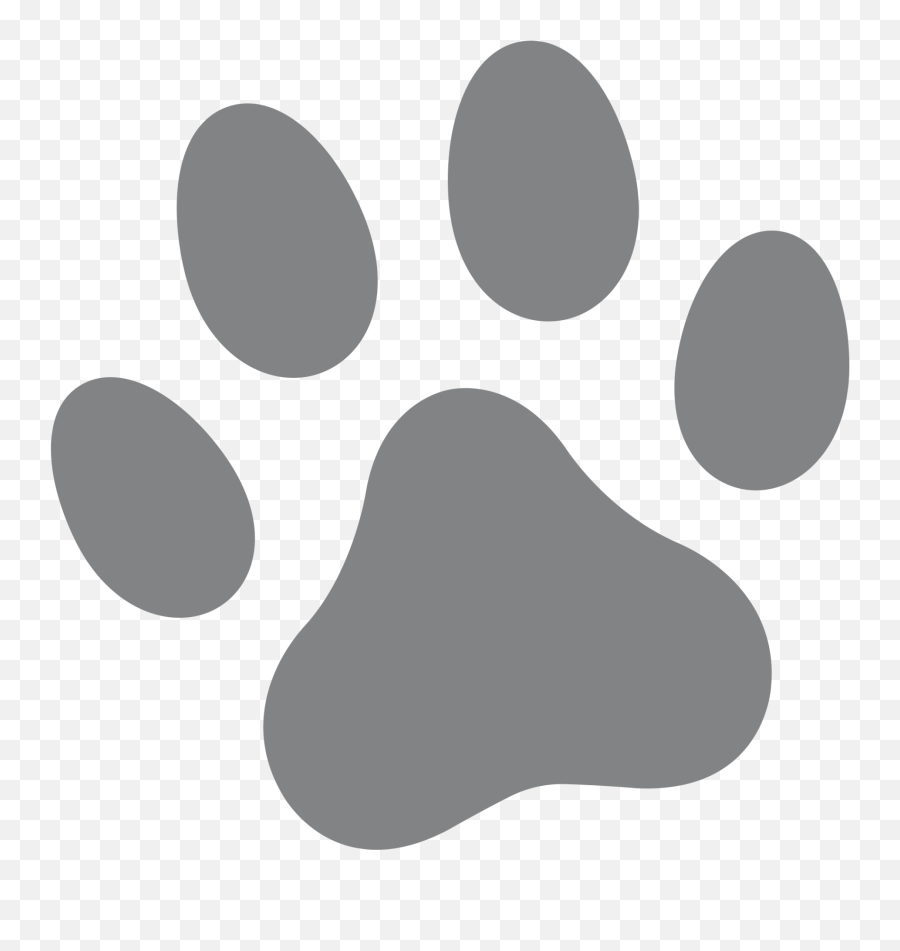 Boarding - Ajax Pet Care Sheikh Zayed Grand Mosque Center Png,Dog Paw Print Icon