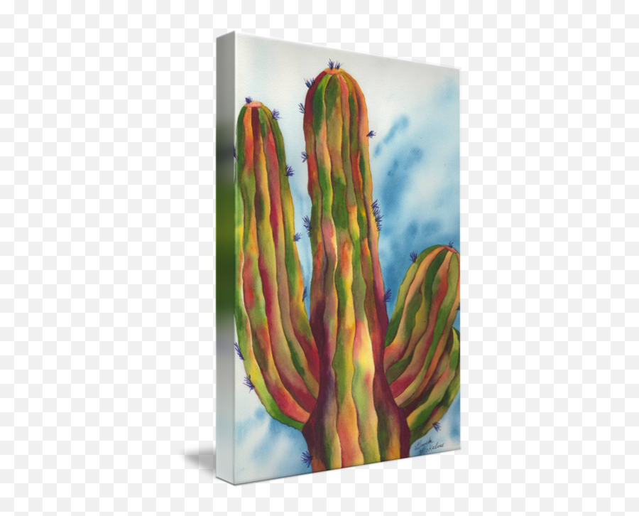 Vivid And Majestic Saguaro Cactus Watercolor Art By Gayela Chapman - Mckelvie San Pedro Cactus Png,Watercolor Cactus Png