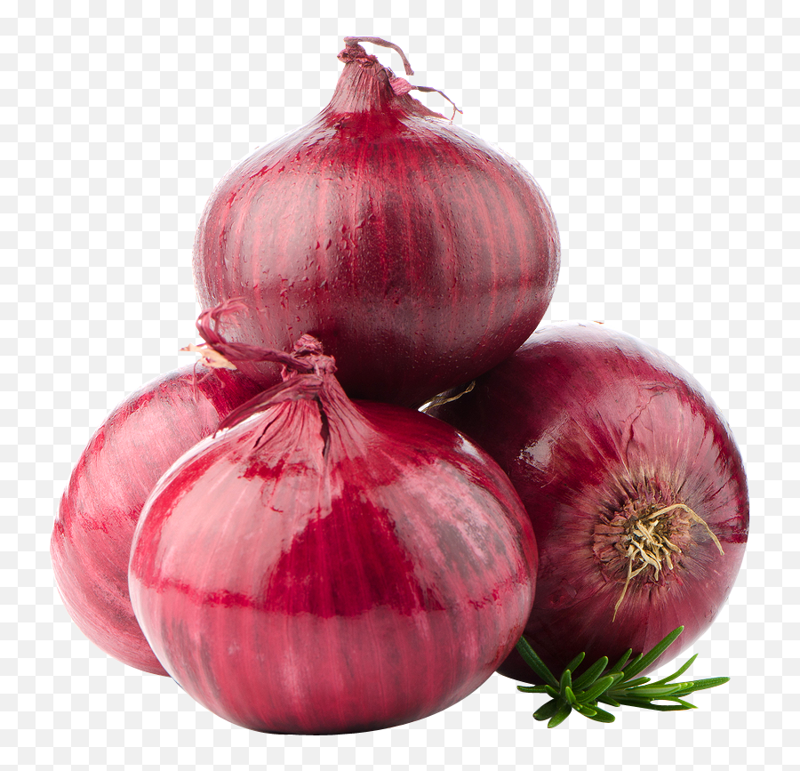 Png Transparent Onion - Red Onions,Onion Png