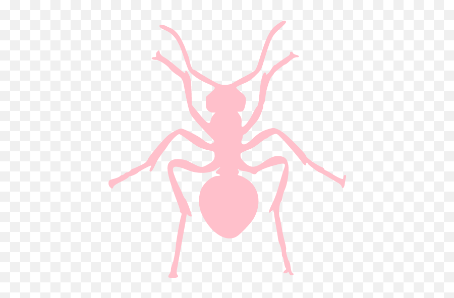 Pink Ant Icon - Free Pink Insect Icons Ant Logo Png White,Antd Icon