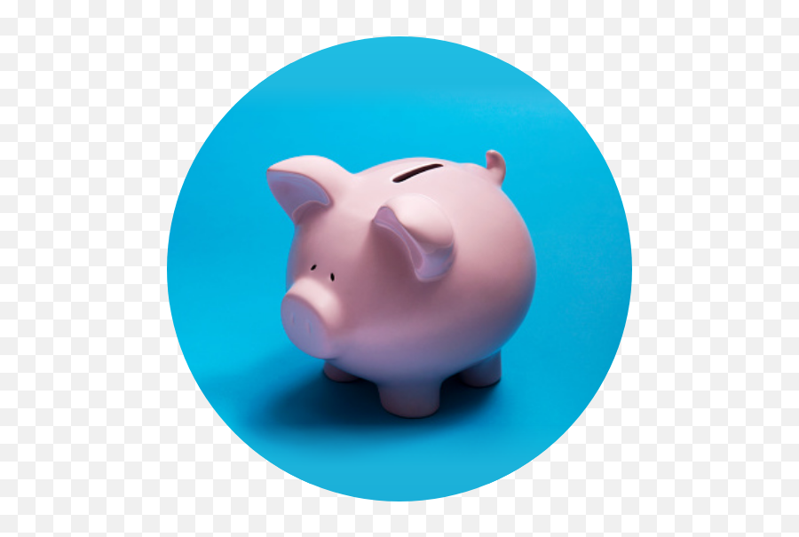 Become A Member - Domestic Pig Png,Savings Icon Brown Color