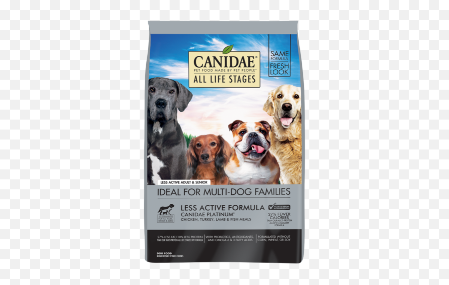 Dog - Canidae Dog Food Puppy Png,Transparent Dog Filter
