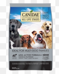 Dog - Canidae Food Puppy png