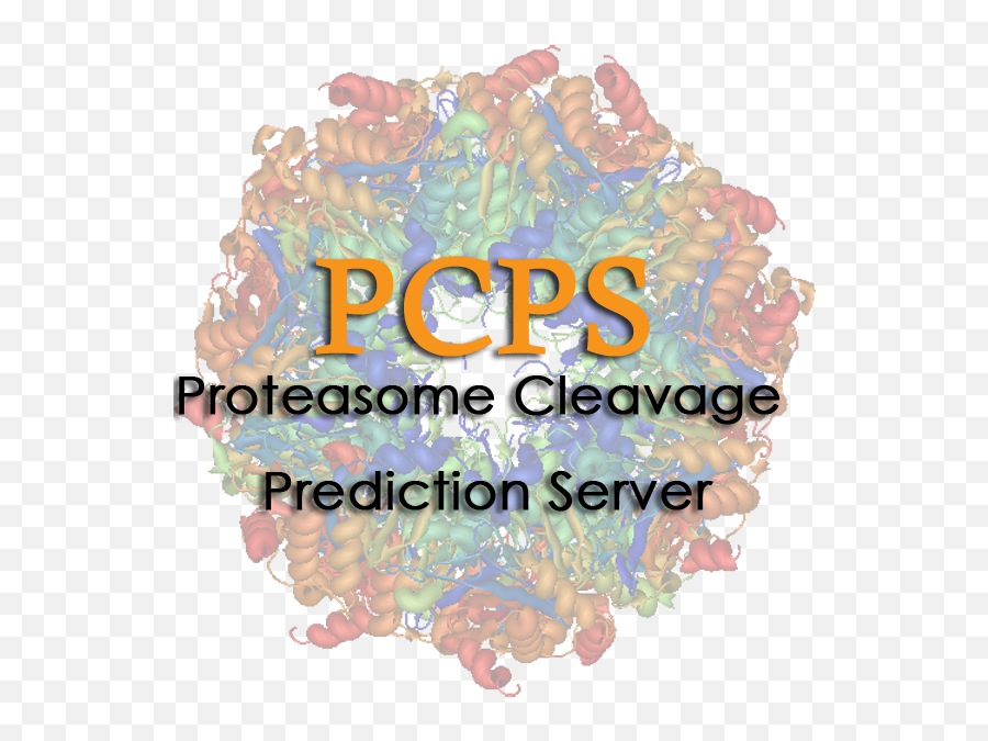 Immunomedicine Group Tools U003eu003e Proteasome Cleavage - Proteasome Png,Cleavage Png