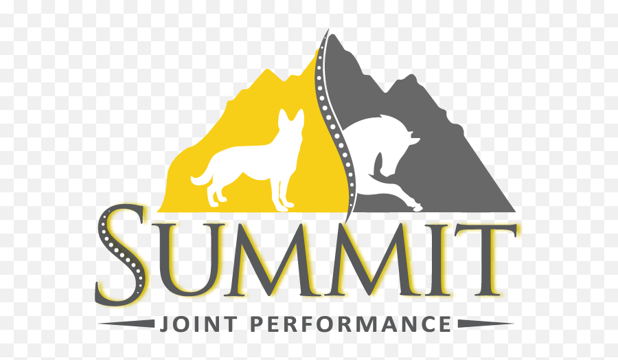 Summit Jp U2013 Performance Mobility Comfort - Summit Injections Png,Jp Logo