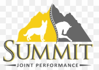 Summit Jp U2013 Performance Mobility Comfort - Summit Injections Png,Jp Logo