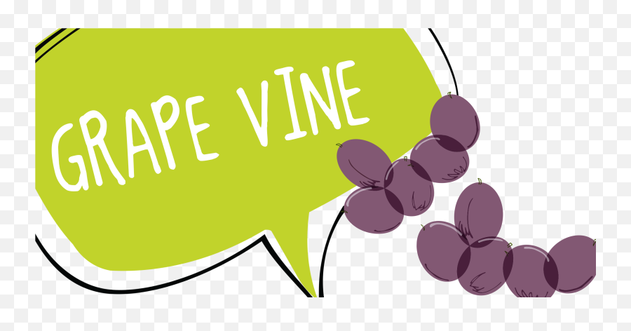 Grape Vine Website Banner - Highresolution Png Clip Art,Vine Png