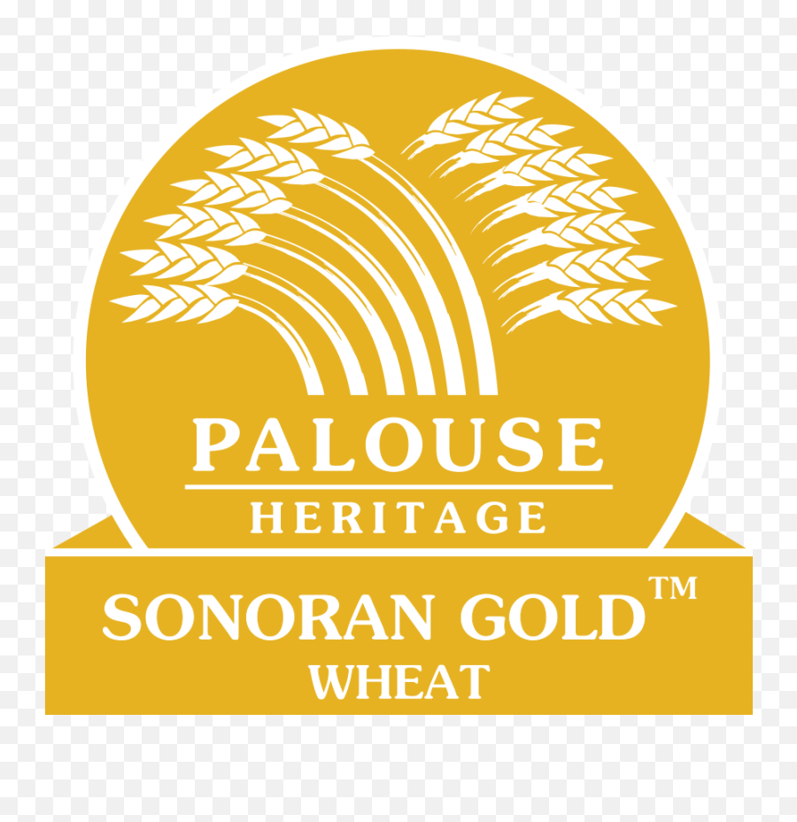Wheat Logo Png Gold Transparent - Decanter World Wine Awards 2013 Bronze Medal,Wheat Logo