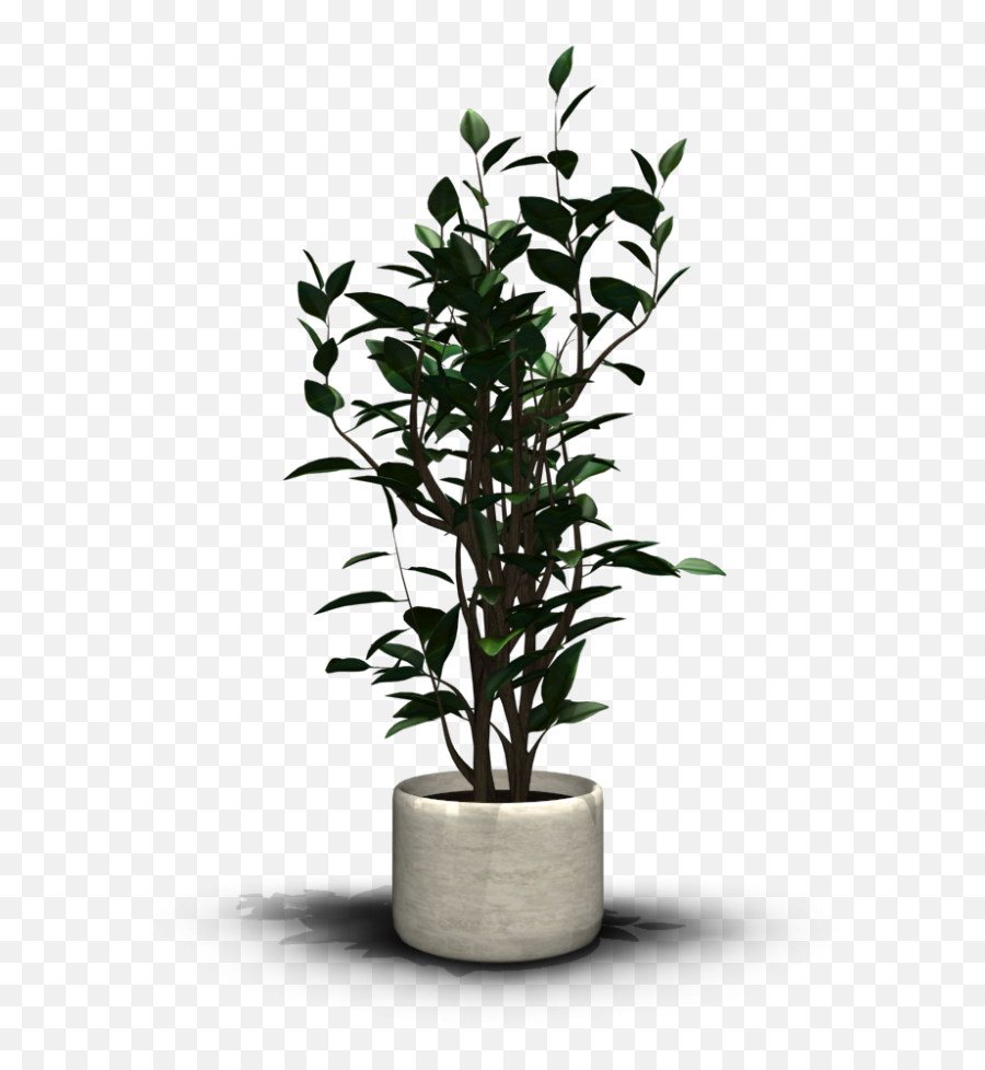 Room Plant Png 2 Image - Transparent Indoor Plant Png,House Plant Png