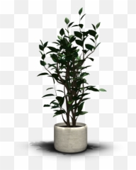 Room Plant Png 2 Image - Transparent Indoor Plant Png,House Plant Png