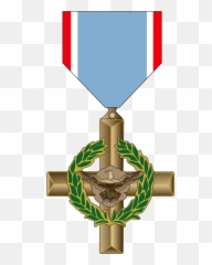 Valor Award For Captain Francis B - Air Force Cross Png Air Force Cross,Medal Of Honor Png