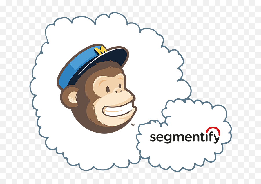 Download Setting Up Email Campaigns - Transparent Mailchimp Logo Png,Chimp Png