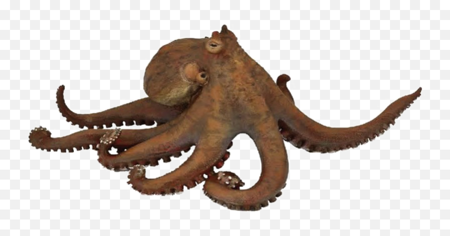 Png Mart - Papo Figure,Octopus Png