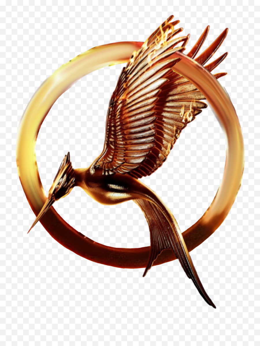 Catching Fire Mockingjay The Hunger - Hunger Games Catching Fire Pin Png,Hunger Games Png