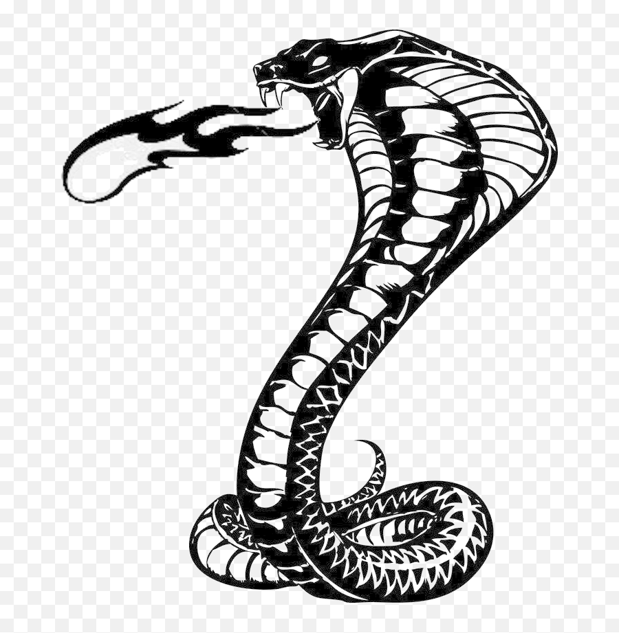 Snake Tattoo Png Background Image - Transparent Snake Tattoo Png,Snake Tattoo Transparent