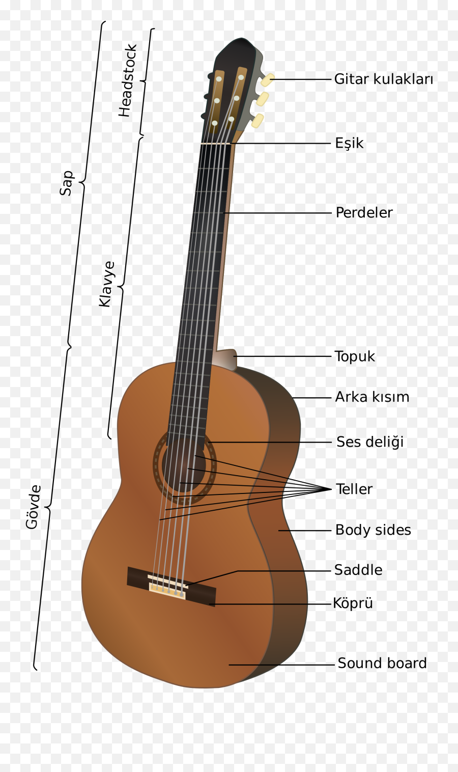 Full Size Png Image - Guitar Body Parts Name,Guitarra Png