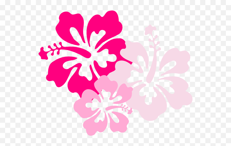 Png Hibiscus Flowers Patterns Transparent U0026 Clipart Free - Pink Hibiscus Clipart,Hibiscus Flower Png