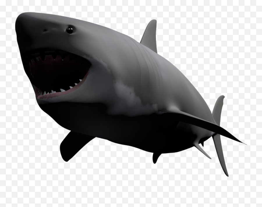 Download Hd Great White Shark Transparent Png Image - Great White Shark,Great White Shark Png