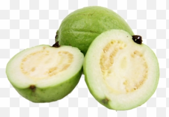 Pulp U2013 India Poland Business Png Guava