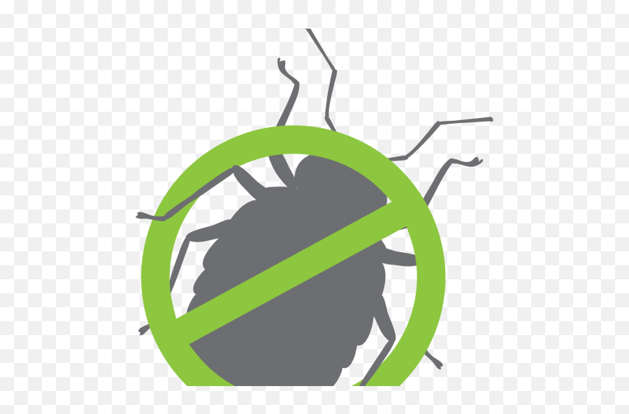 Cropped - Bugpng Your Local Pest Control Company Language,Bug Png