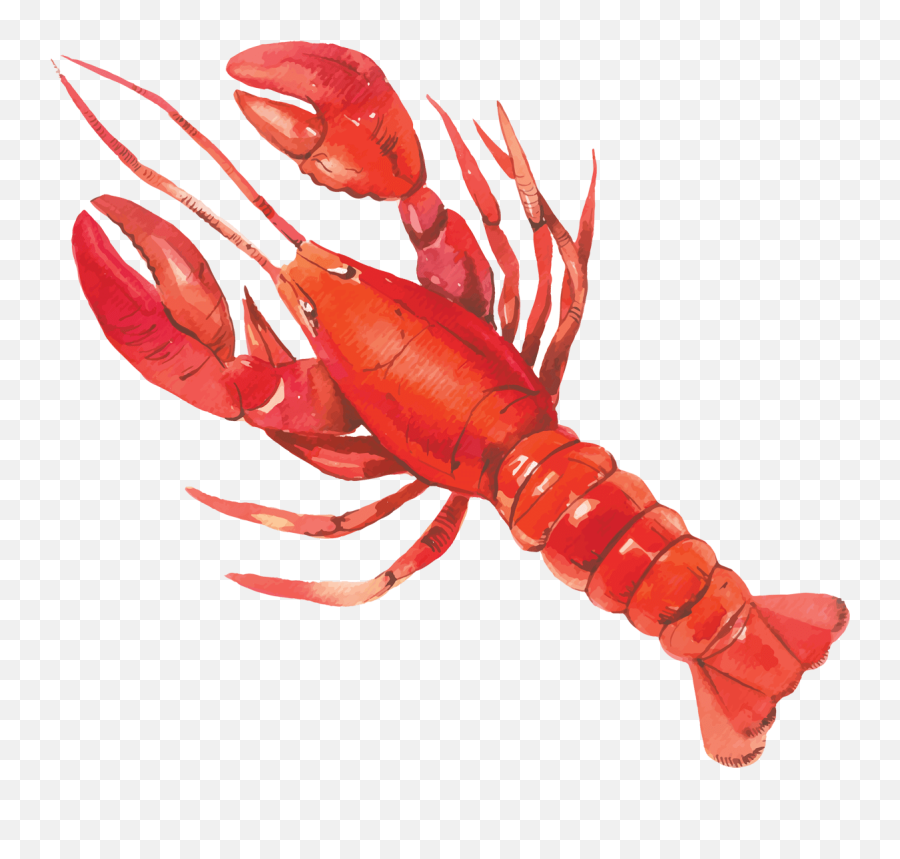 Download American Lobster - Full Size Png Image Pngkit Lobster Watercolor Clipart,Lobster Png