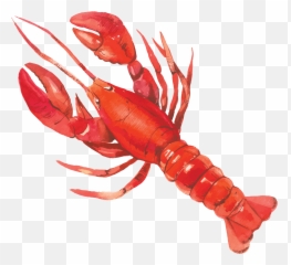 Download American Lobster - Full Size Png Image Pngkit Lobster Watercolor Clipart,Lobster Png