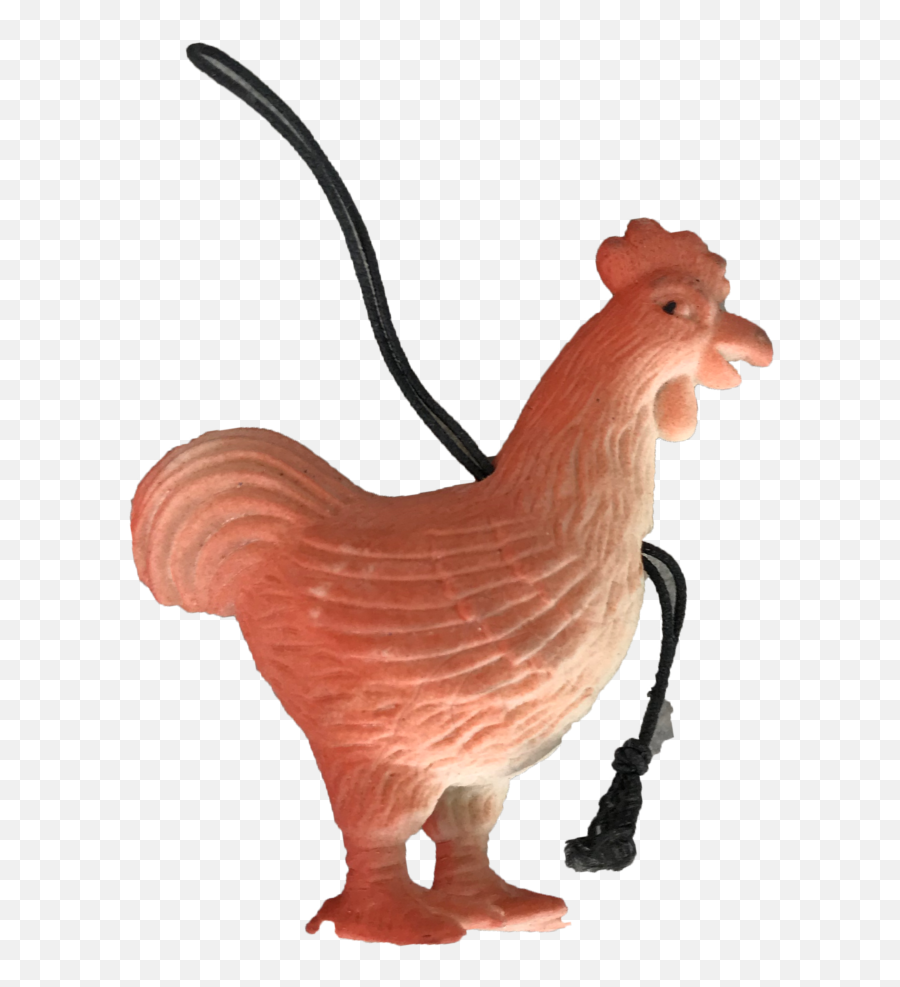 Shop Storage Sale Rubber Chicken - Rooster Png,Rooster Png