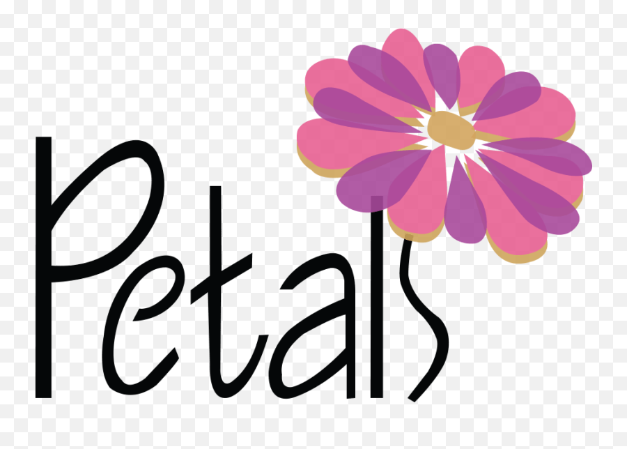 Flowers Delivery Wytheville Petals Of - Flower Decoration Png,Falling Rose Petals Png