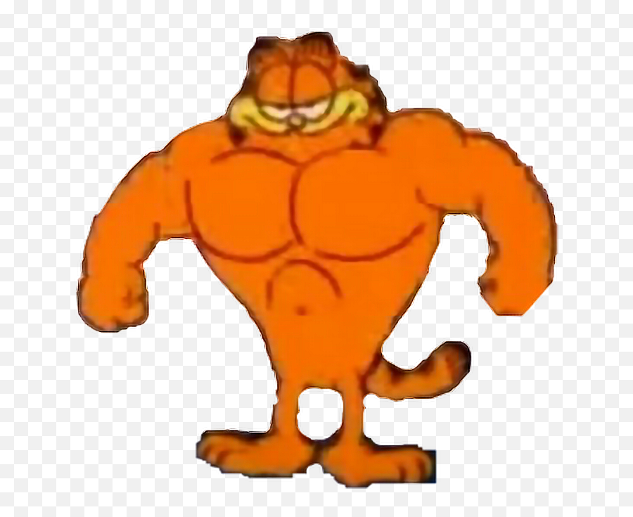 Kristengay Swole Garfield Meme Sticker - Muscle Garfield Png,Garfield Transparent