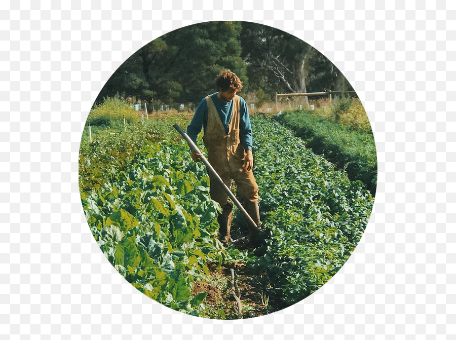 Our Team Farmer Incubator - Soil Png,Incubator Icon