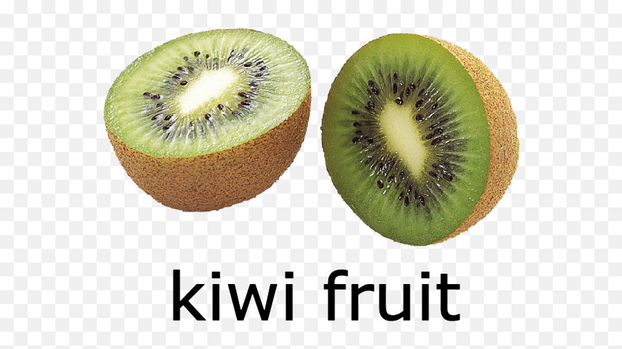 Download Free Kiwi Fruit Icon Favicon Freepngimg - Kiwi Fruit With Name Png,Fruit Icon Png