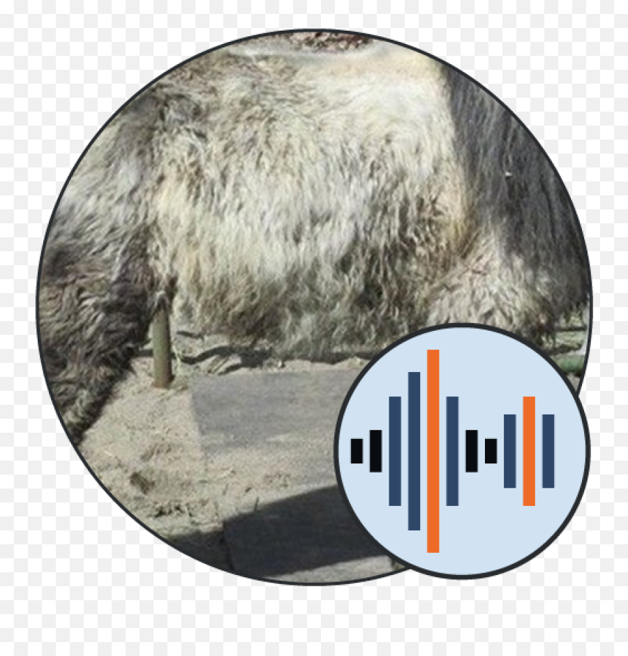 150 Animals Sounds Soundboard 101 - Sound Png,Teamspeak Icon Goose