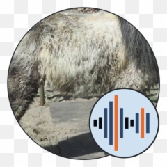 150 Animals Sounds Soundboard 101 - png