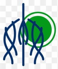 Spine Injury Evolve Physical Therapy Png