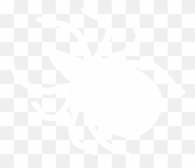 Ah Nexgard - Parasitism png